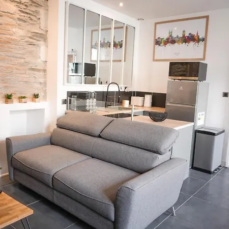 Moderne Et Cosy Au Coeur D'angers *